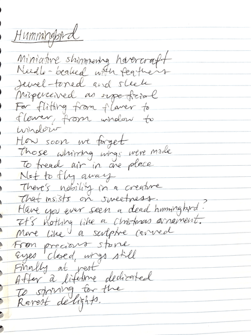 Hummingbird